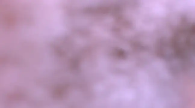 Snapshot of bubble_red chatting on 8, 2, 2025 bubble red online show from 8, 2, 2025