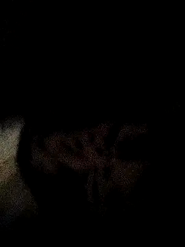 Snapshot of ruhi2003 chatting on 3, 12, 2024 ruhi2003 online show from 3, 12, 2024