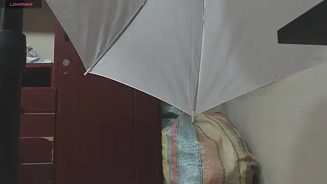 Snapshot of DIANATSS chatting on 8, 2, 2025 DIANATSS online show from 8, 2, 2025