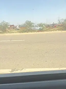 poision51 online show from 4, 3, 2025