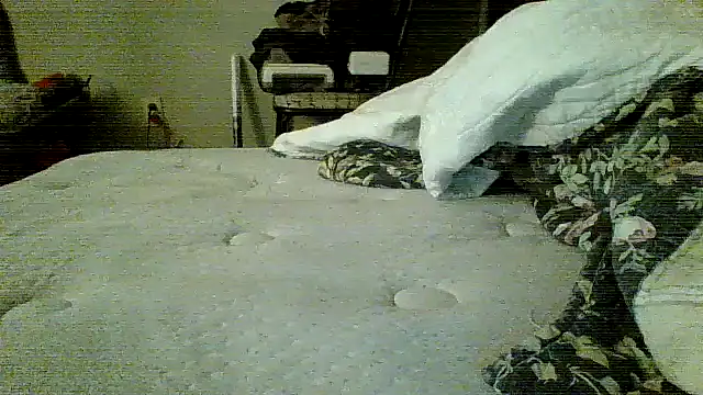 Jay81 online show from 19, 1, 2026