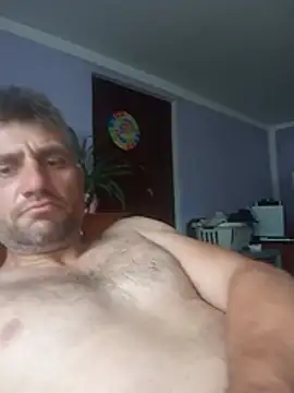 Gotowy40 online show from 31, 7, 2026