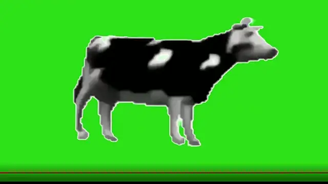 awesome anna online show from 13, 2, 2026