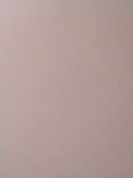 PracticalGum40 online show from 2, 12, 2024