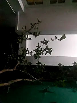 Jhon837486 online show from 29, 12, 2024