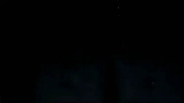 Snapshot of lnxmst chatting on 16, 12, 2025 lnxmst online show from 16, 12, 2025