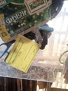 Skinny Bigass 23 online show from 16, 11, 2025