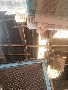 Skinny Bigass 23 online show from 1, 12, 2025