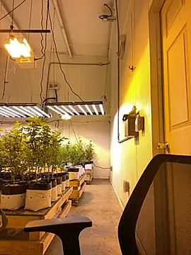 Snapshot of jr91esl chatting on 2, 3, 2025 jr91esl online show from 2, 3, 2025