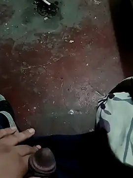 dvaughn3117 online show from 13, 12, 2024