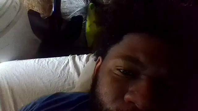dvaughn3117 online show from 28, 6, 2026
