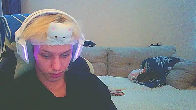 Ostin meow online show from 14, 12, 2024