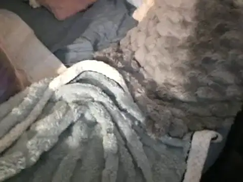 housewife shantie online show from 15, 3, 2025