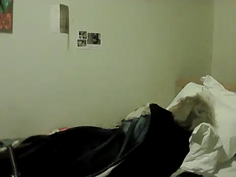 housewife shantie online show from 8, 2, 2026