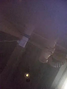 homenbuscalacto online show from 1, 10, 2025