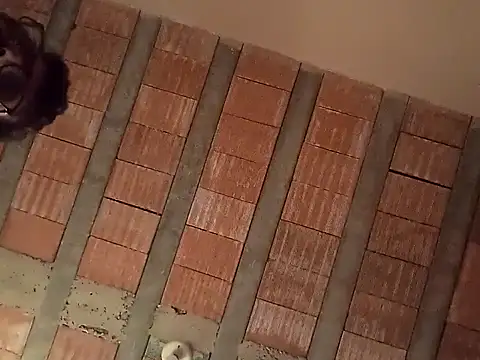 jtf4055 online show from 13, 9, 2025