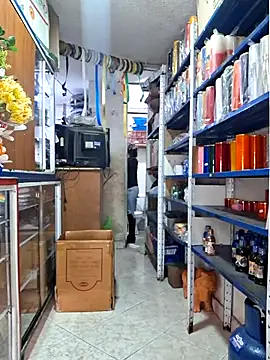 nidia2026 online show from 17, 3, 2026