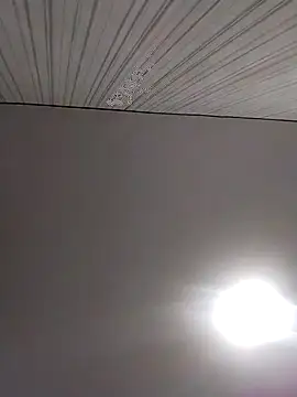 Lorrain Dorrie online show from 2, 12, 2025