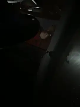 Mustafa-231 online show from 29, 11, 2025