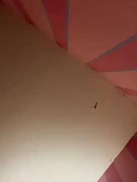 mikeJak online show from 23, 3, 2025