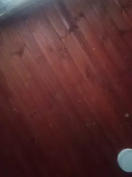 Darly Gomez online show from 3, 3, 2025