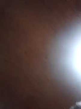 Darly Gomez online show from 4, 3, 2025