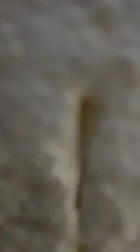 tuty Tap online show from 7, 12, 2024