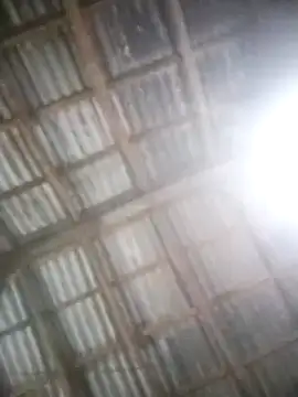 Feli230990 online show from 5, 3, 2025