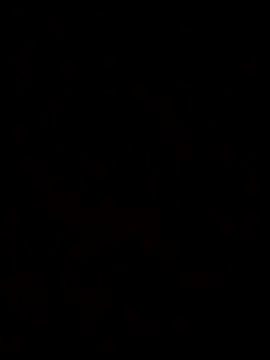 Feli230990 online show from 8, 10, 2025