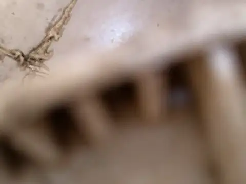 Snapshot of small131 chatting on 17, 3, 2025 small131 online show from 17, 3, 2025