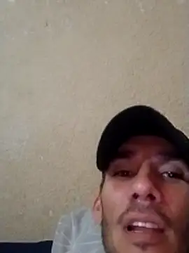 pppk15 online show from 4, 4, 2026