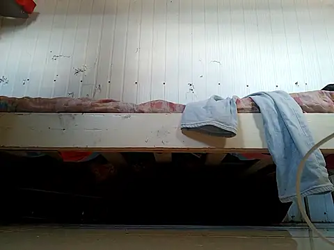 frotasso online show from 12, 2, 2026