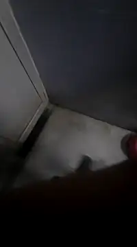 Ritikdesi online show from 2, 3, 2025