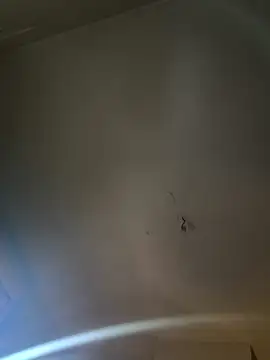 Jiimy2fois online show from 6, 3, 2026