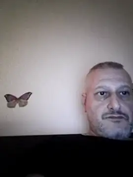 Husoban online show from 6, 1, 2026