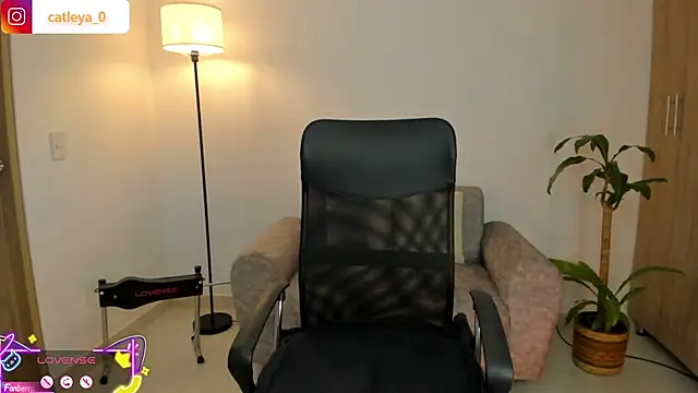 catleya 0 online show from 15, 2, 2026