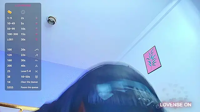 Snapshot of kinkyandsavage chatting on 22, 12, 2024 kinkyandsavage online show from 22, 12, 2024