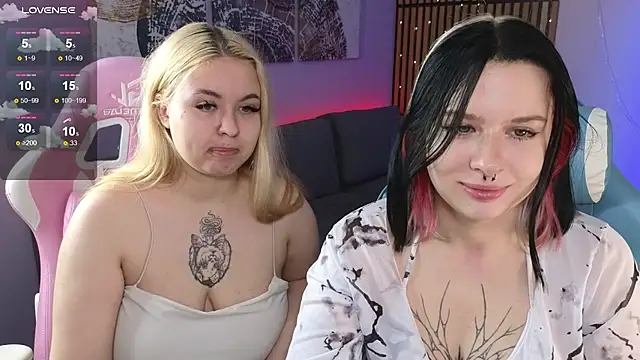 tender kiitty online show from 26, 10, 2025