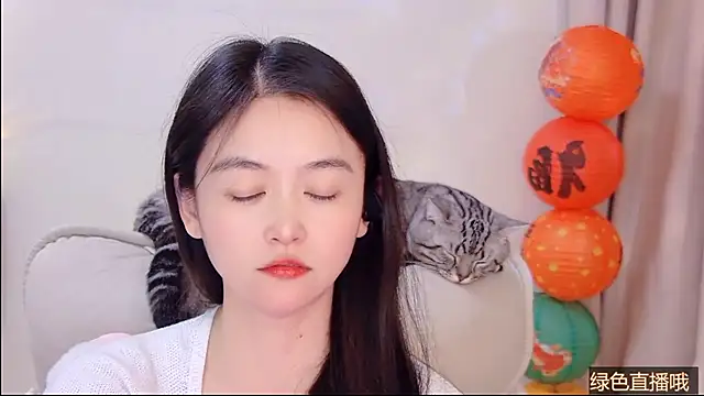 CN-Babycat online show from 27, 2, 2026