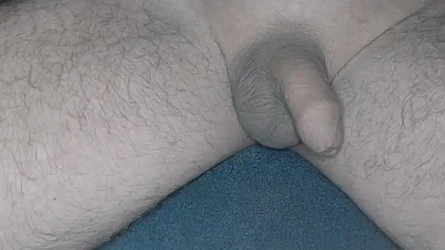 cs1512 online show from 26, 2, 2025