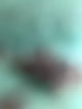 Indiancockmilk online show from 31, 1, 2025