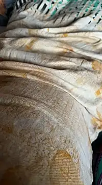 Indiancockmilk online show from 11, 2, 2025