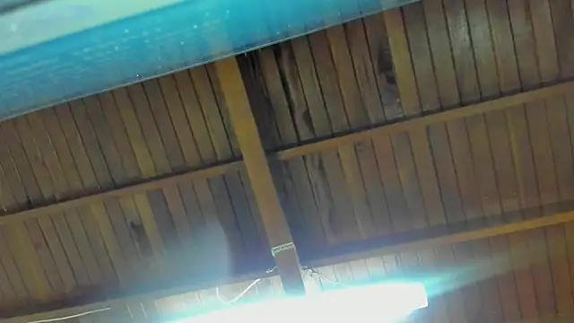 Snapshot of jeicob_gagnon chatting on 15, 9, 2025 jeicob gagnon online show from 15, 9, 2025