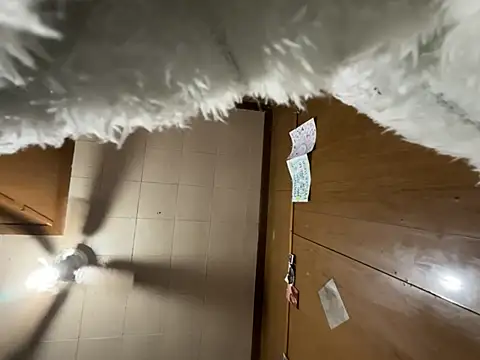 Snapshot of carmelbbyx22 chatting on 29, 3, 2026 carmelbbyx22 online show from 29, 3, 2026