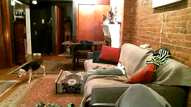 Snapshot of Johnny_Bottoms chatting on 21, 12, 2024 Johnny Bottoms online show from 21, 12, 2024