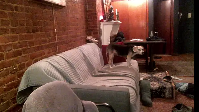 Snapshot of Johnny_Bottoms chatting on 24, 9, 2025 Johnny Bottoms online show from 24, 9, 2025