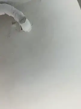 ekskekejejej online show from 28, 9, 2025