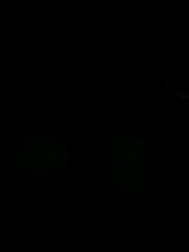 Snapshot of andreiwhite2_ chatting on 18, 12, 2025 andreiwhite2 online show from 18, 12, 2025