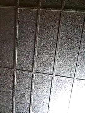 zaneporter46 online show from 14, 3, 2025