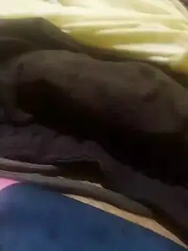 Snapshot of jarmesr7x chatting on 27, 1, 2025 jarmesr7x online show from 27, 1, 2025